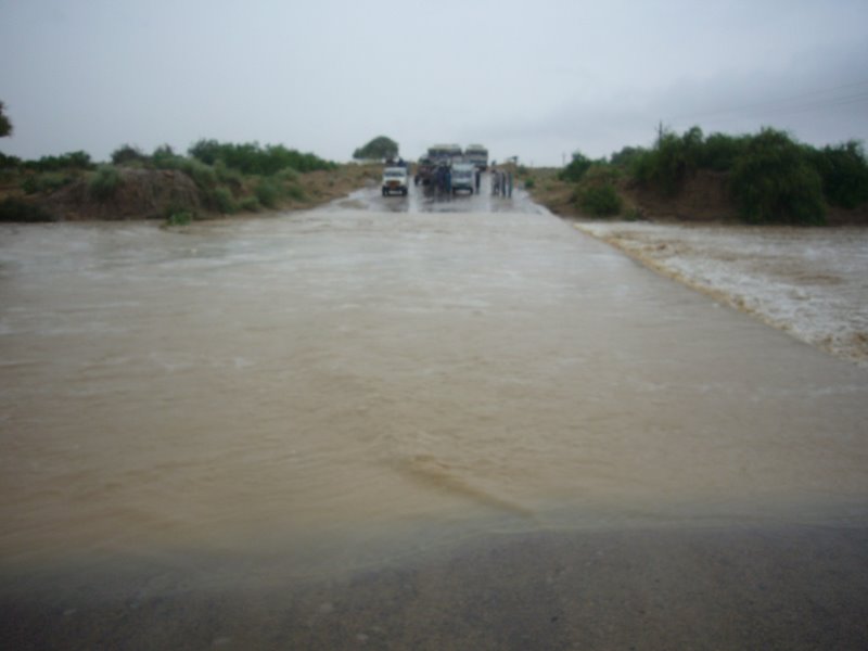 Travel - India - Rajasthan - Desert Camel Trip - Desert Rain